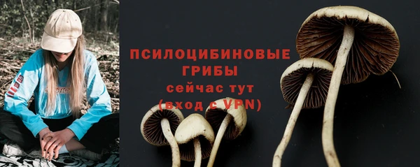 ГАЛЛЮЦИНОГЕННЫЕ ГРИБЫ Покровск