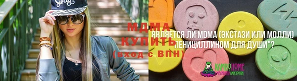 индика Покров