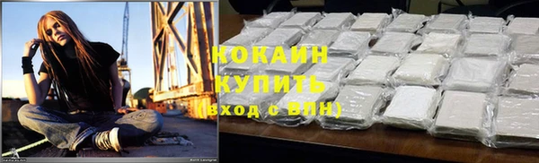 ГАЛЛЮЦИНОГЕННЫЕ ГРИБЫ Покровск