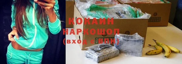 индика Покров