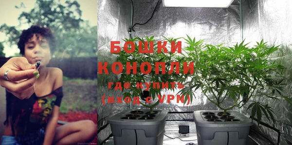 индика Покров