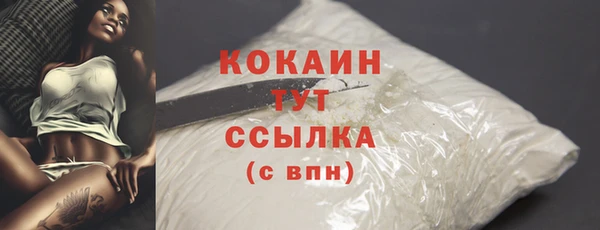 прущий лед Болхов