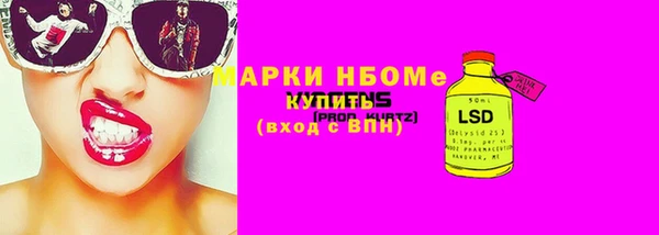 индика Покров