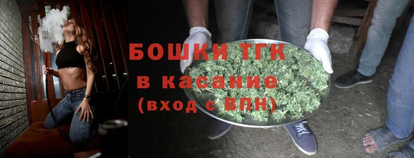 ГАЛЛЮЦИНОГЕННЫЕ ГРИБЫ Покровск