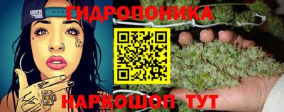 скорость mdpv Ачхой-Мартан