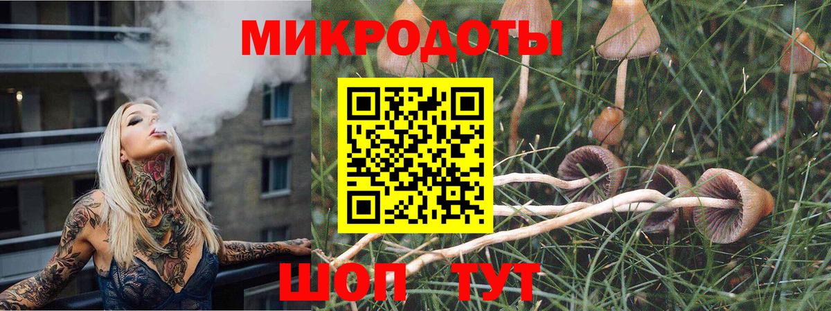Галлюциногенные грибы мухоморы Астрахань