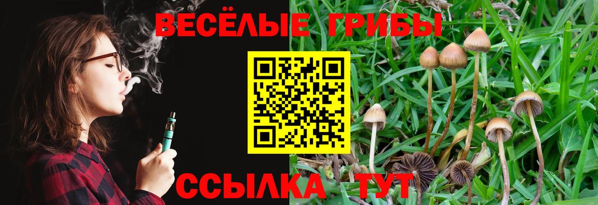 Псилоцибиновые грибы GOLDEN TEACHER  Вход с VPN  Астрахань 